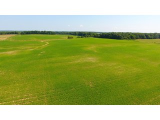 TRACT 80 - ILLINOIS LAND AUCTION - 4,810+/- ACRES OFFERED IN 85 TRACTS IN FRANKLIN, WILLIAMSON, HAMILTON & SALINE COUNTIES, ILLINOIS